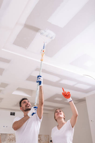 Best Mold Odor Removal Services  in Mount Hope, WV