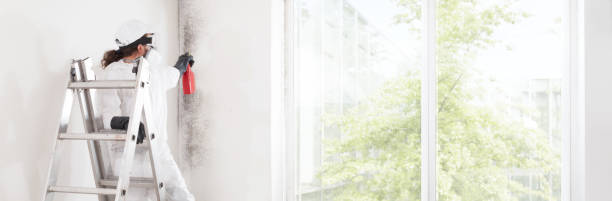 Best Indoor Air Quality Assessment  in Mount Hope, WV