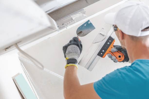 Best Real Estate Mold Inspection  in Mount Hope, WV